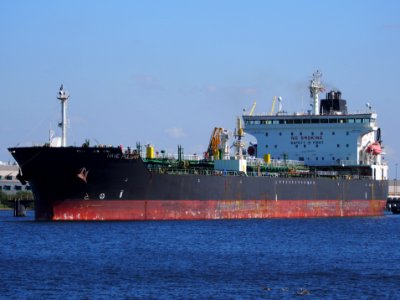 Nave Pulsar - IMO 9379313, Port of Amsterdam, pic1