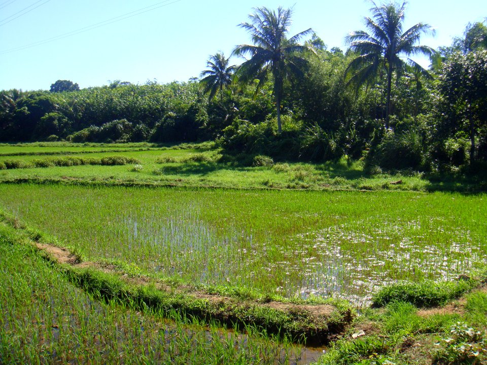 Near Xinlong, Hainan - 03