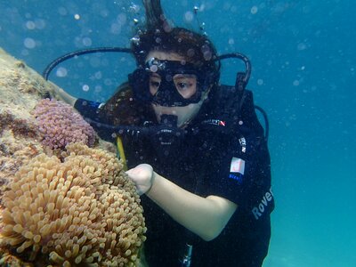 Marine diving sea photo