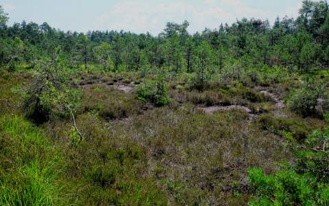 ND-00106 Lkr. Traunstein Gem. Surberg westlicher Teil photo