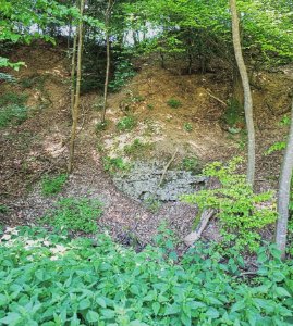 ND-01255 Lkr. AÖ Nagelfluhaufschluss nördlich Moosen
