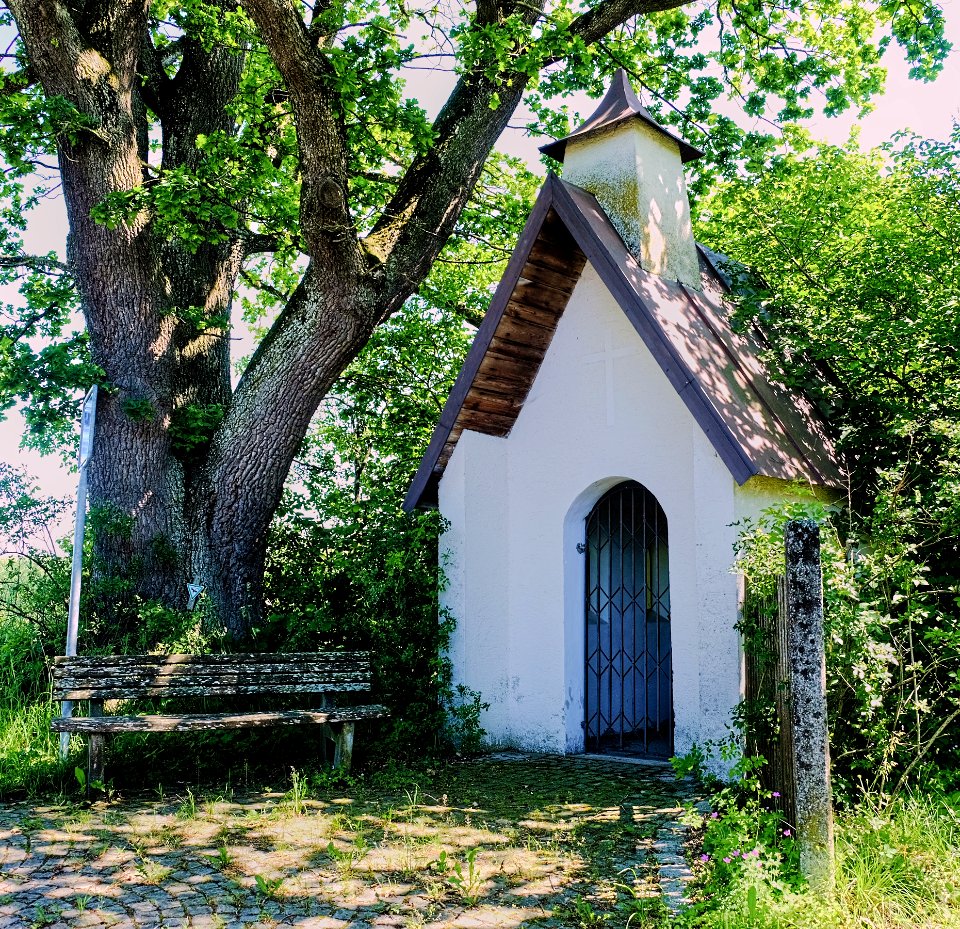 ND-01173 Lkr. AÖ Kapelleneiche in Tyrlaching B