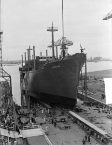 NDSM tewaterlating van het vrachtschip ms. Slovenija, Bestanddeelnr 904-2547