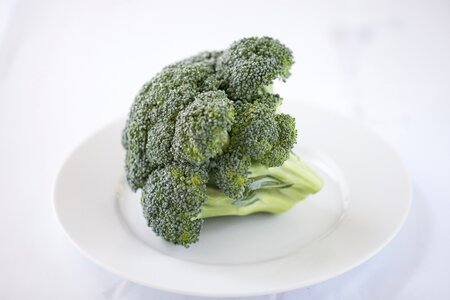Green health food