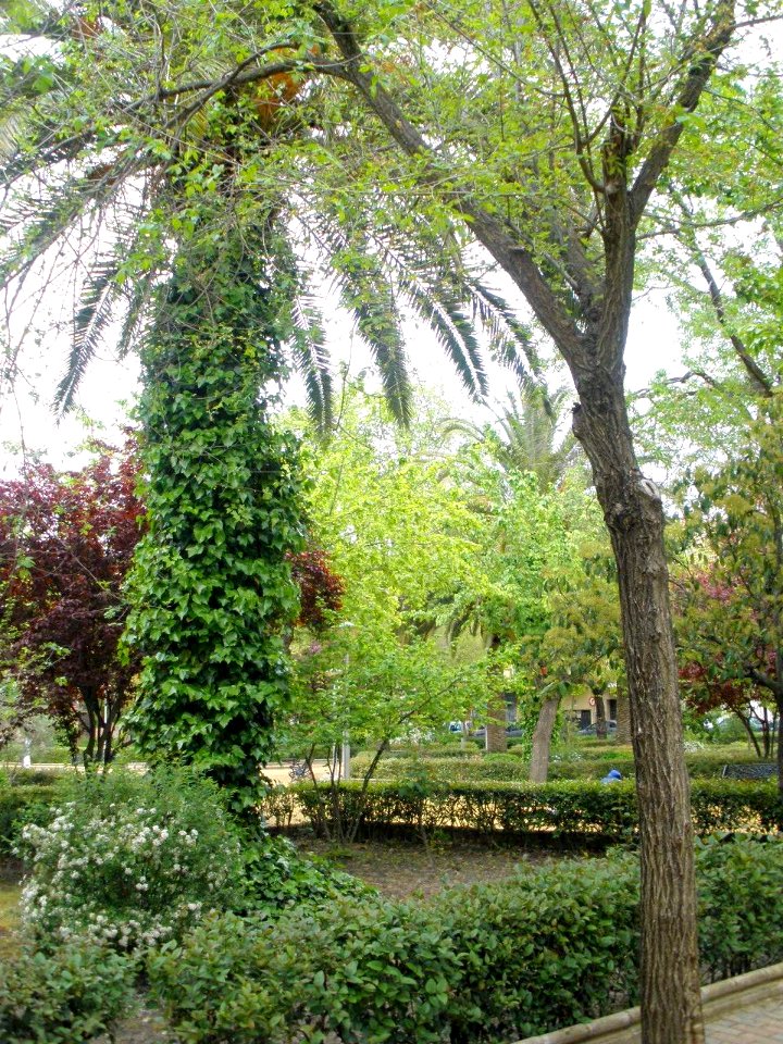 Navalmoral de la Mata - Parque Municipal Don Casto Lozano 4