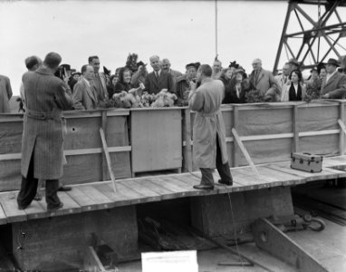 NDSM tewaterlating van het vrachtschip ms. Slovenija, Bestanddeelnr 904-2553