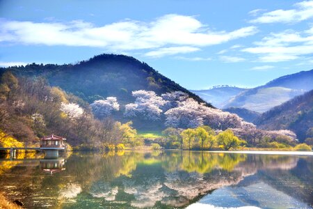 Nature scenery spring