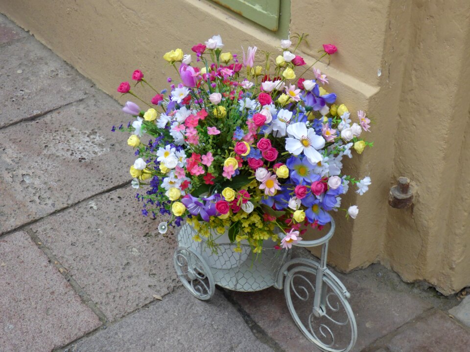 Background street flower bed