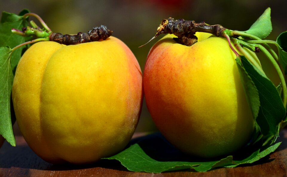 Delicious healthy fruits