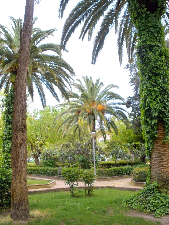 Navalmoral de la Mata - Parque Municipal Don Casto Lozano 3