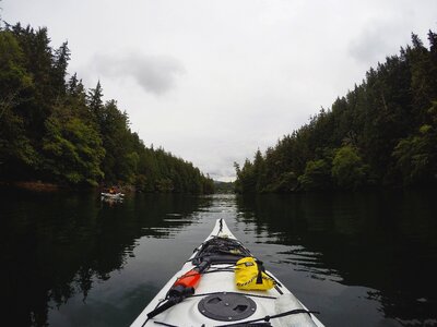 Forest lake outdoors photo