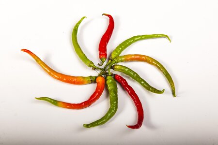 Green red chilli peppers photo