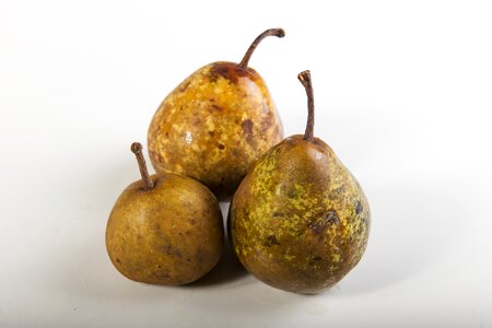 Nature fruit yellow