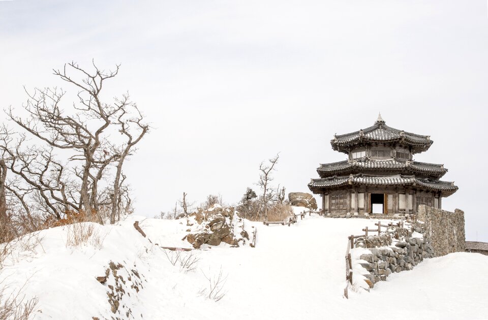 Background in the cold landscape
