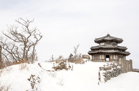 Background in the cold landscape