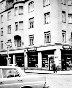 Muefeilitschstrtarantel1963bw