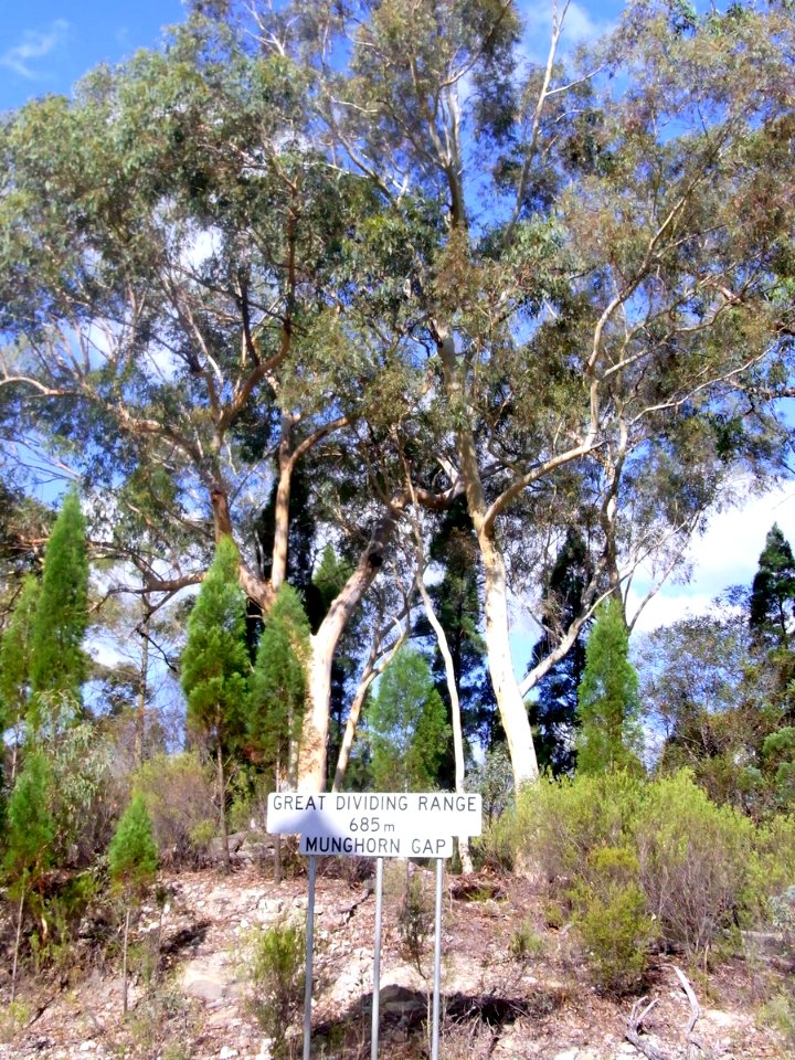 Munghorn Gap Nature Reserve Great Dividing Range