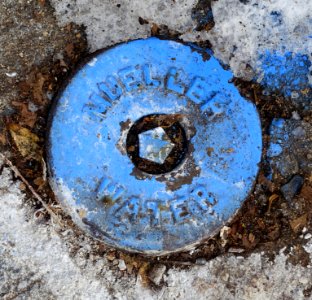 Mueller WATER - water valve cover - Cambridge, MA - DSC02795