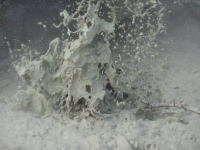 Mudpot at Lassen National Park photo