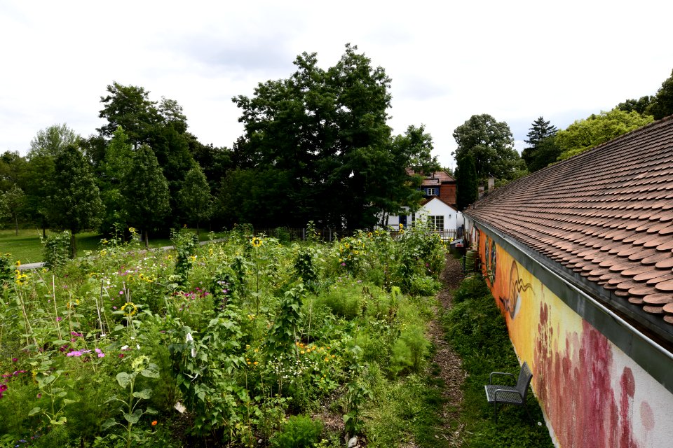 Muebischweilerbuerg072019c85