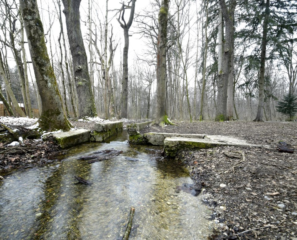 Muehmbach032021st99