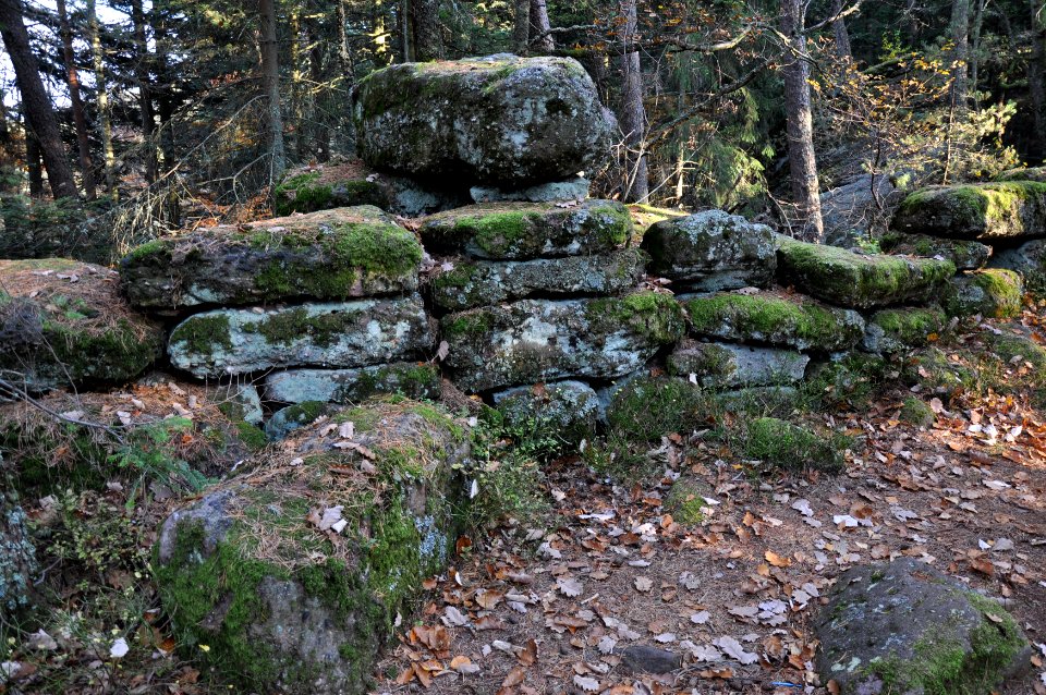Mur Païen 01 11 2011 04