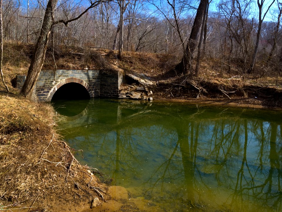Muddy Branch and C and O Canal
