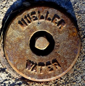 Mueller Water - Arlington, MA - DSC03455