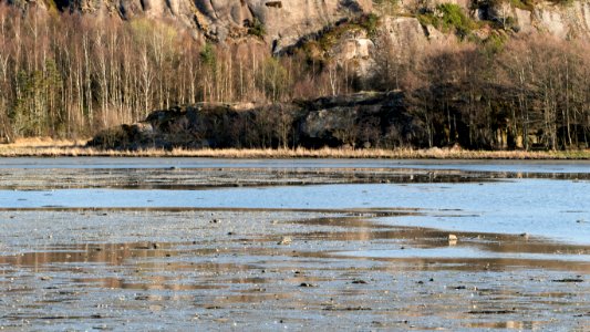 Mudflats in Norrkila 1