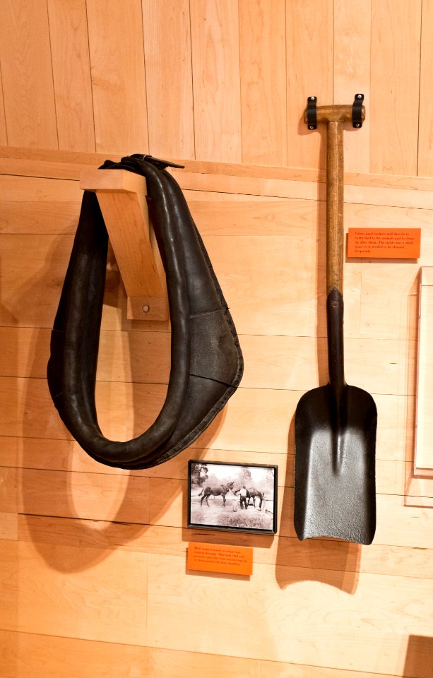 Mule care tools on Chesapeake and Ohio Canal