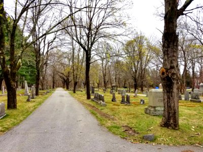 Munroe Cemetery - Lexington, MA - 20200425 113448