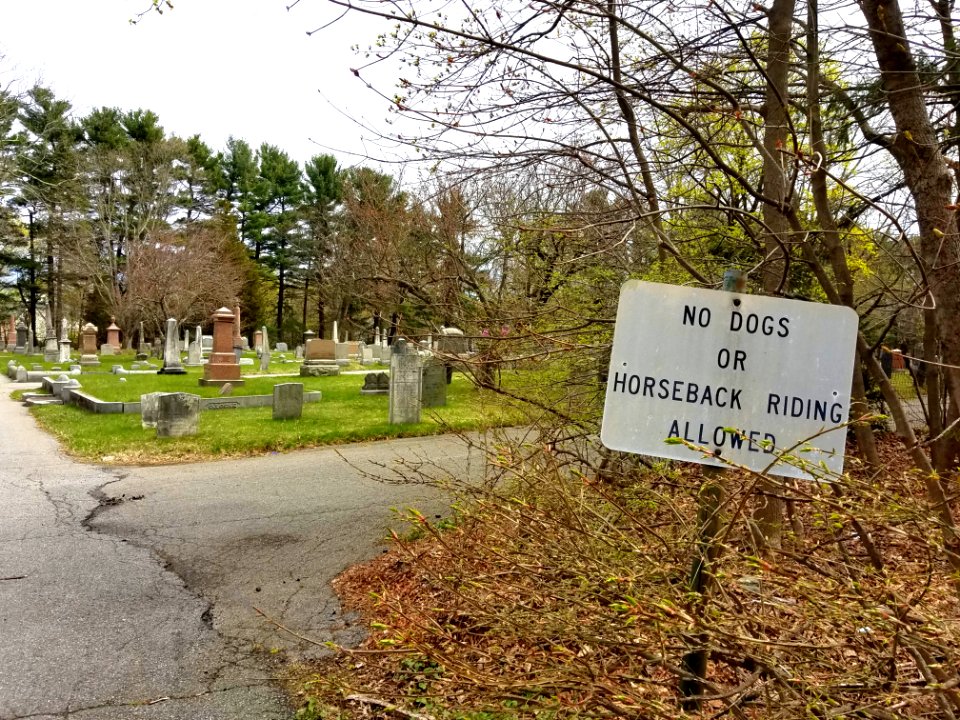 Munroe Cemetery - Lexington, MA - 20200425 112842