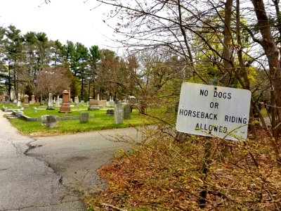 Munroe Cemetery - Lexington, MA - 20200425 112842