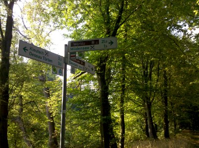 Mulderadwegweiser im Hinteren Tiergarten in Dessau 2016a