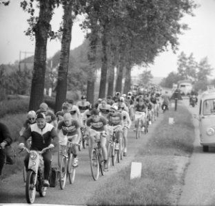 Muggenronde gestart te Haarlem, Bestanddeelnr 914-1647