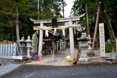 Munakata-jinja (Sakurai), torii