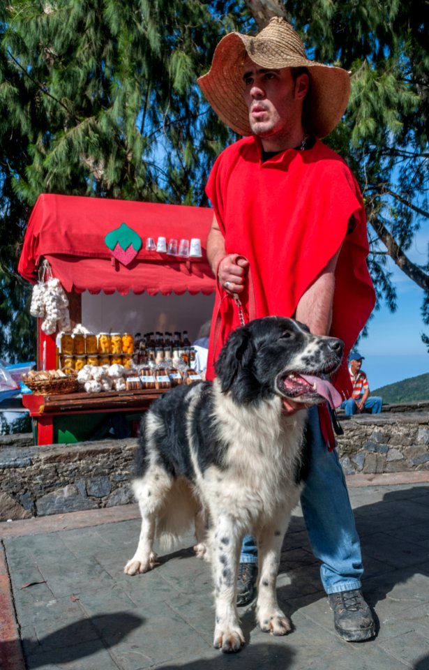 Mucuchies dog in Ávila Mont 