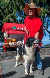Mucuchies dog in Ávila Mont 