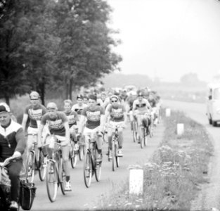 Muggenronde gestart te Haarlem, Bestanddeelnr 934-6388
