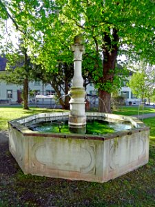 MuensterlingenKlosterWestBrunnen2