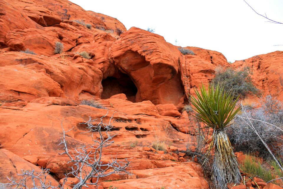 Red national park photo