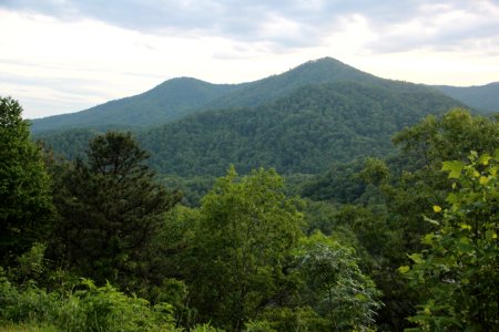 Mt Noble viewed from Raven Fork overlook, May 2017