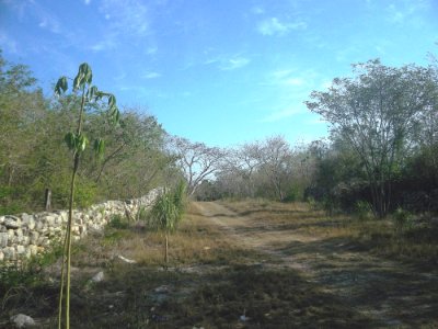 Mucuyché Campos, Yucatán (02)