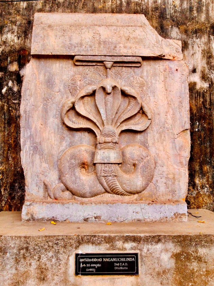 Mucalinda Naga the Buddha protector, Dhulikatta Buddhist Site, Telangana 2