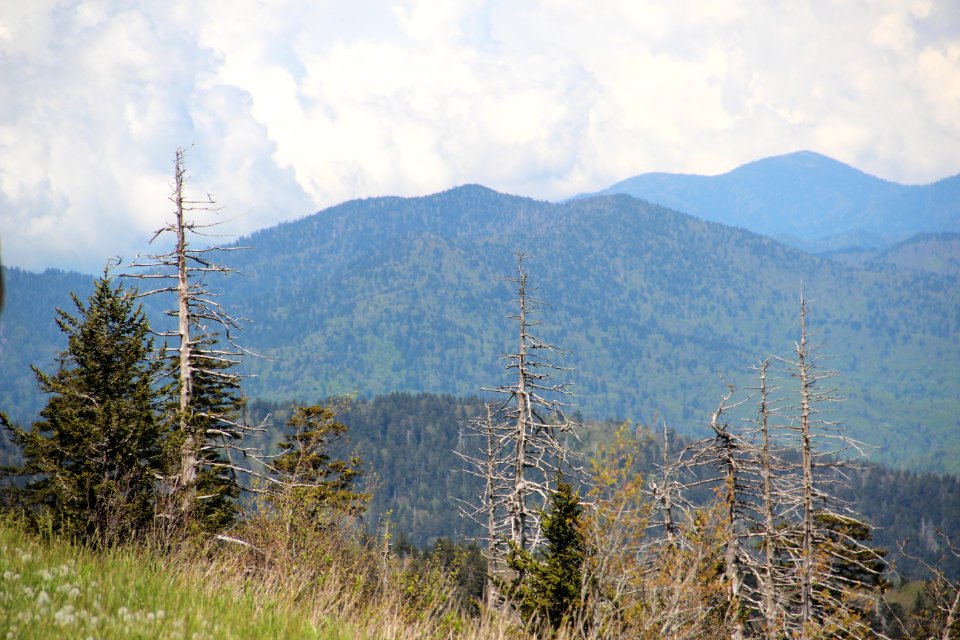 Mt Kephart viewed from Clingmans Dome, May 2017