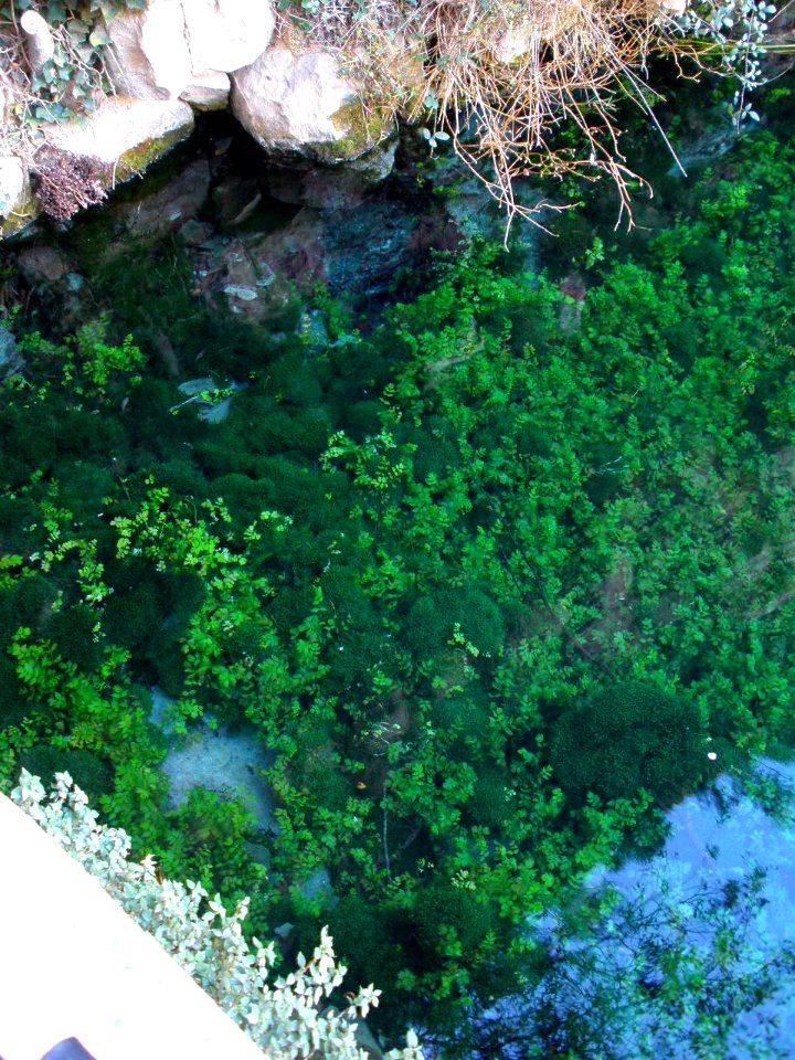 Muel - Presa romana 09
