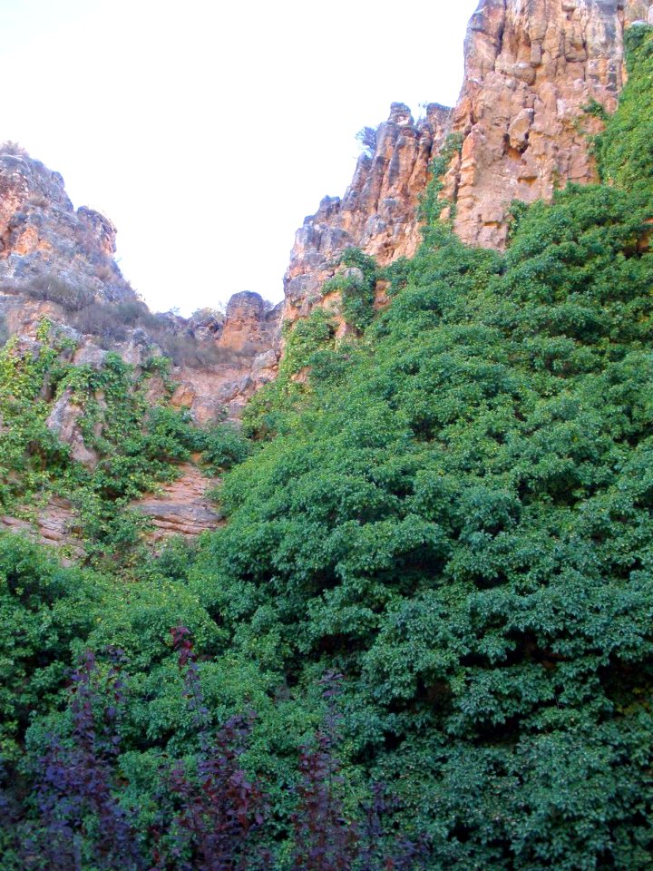 Muel - Parque fluvial 03