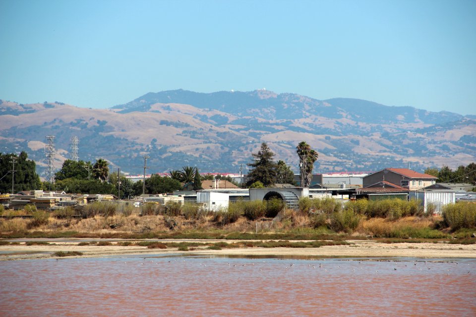 Mt Hamilton from Alviso Marina County Park CA Aug 2019