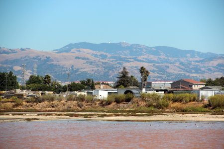 Mt Hamilton from Alviso Marina County Park CA Aug 2019