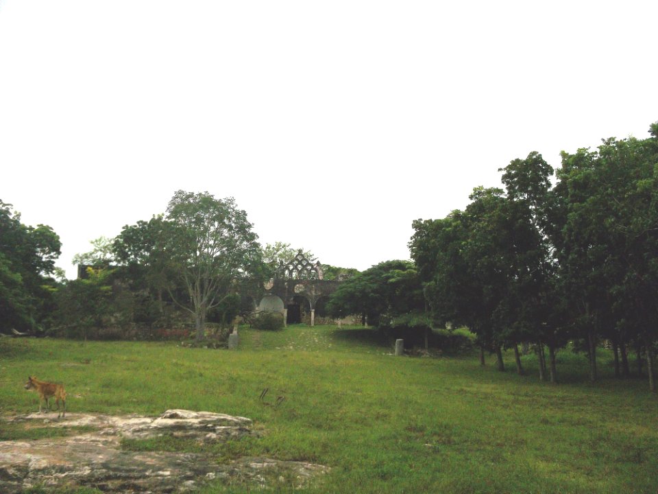 Mucuyché (Abalá), Yucatán (04)